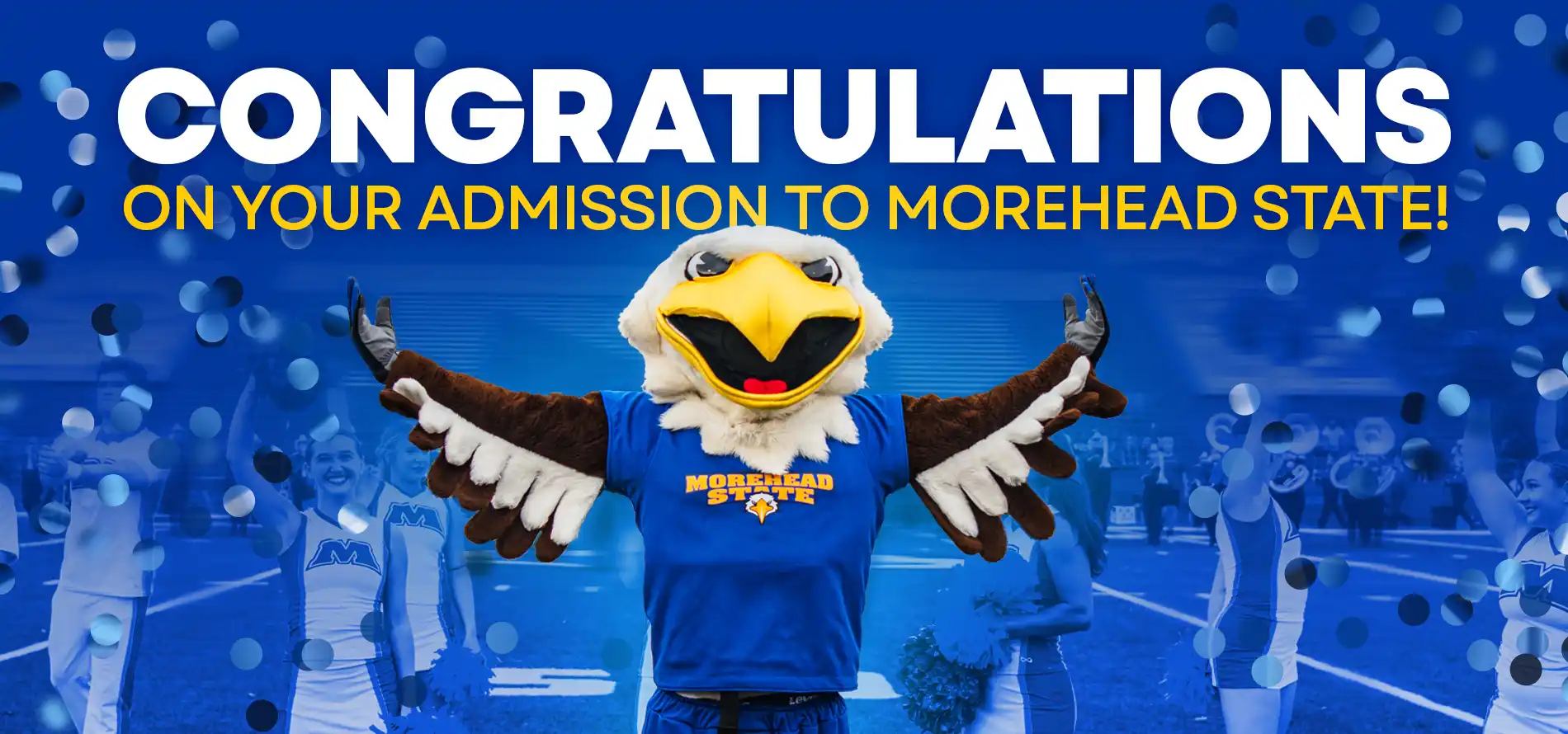 Congrats on your admission to MSU!