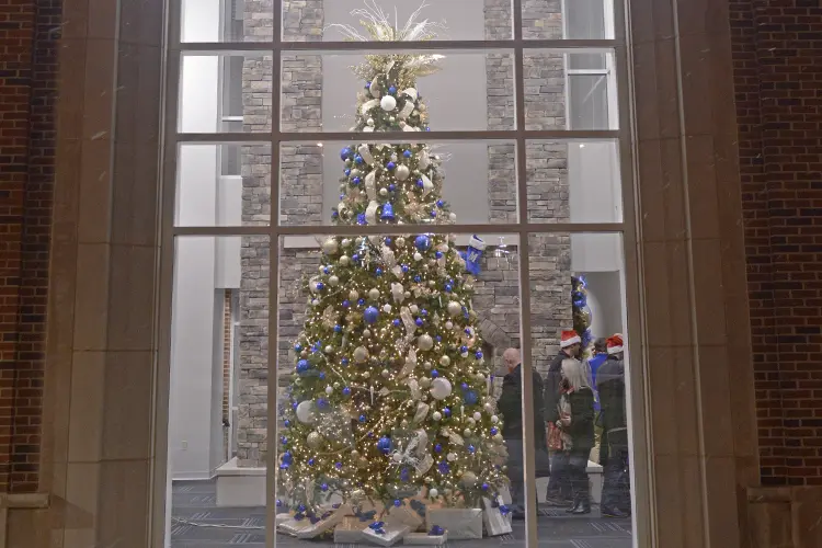 holiday tree in ADUC