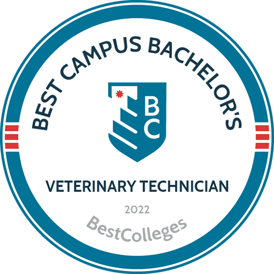 Best Colleges Seal