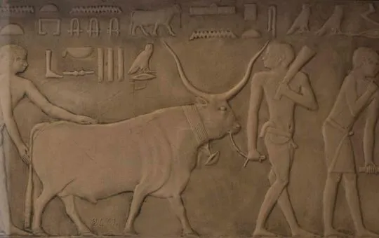 Relief from the Tomb of Ptahhotep