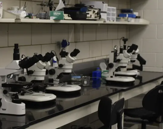 Lab with microscopes and other equipment