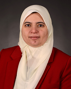 Dr. Heba Elgazzar